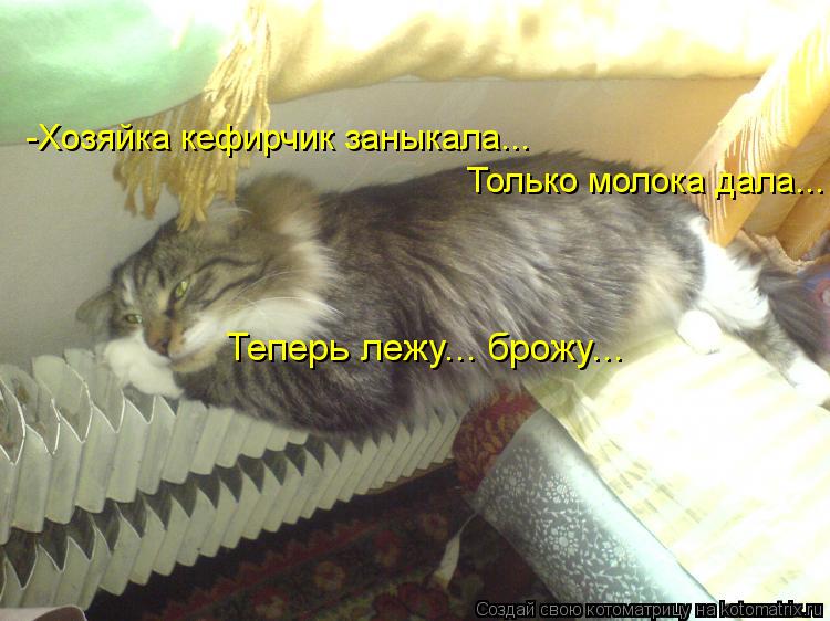 -Хозяйка кефирчик заныкала... Только молока дала... Теперь лежу... брожу...... Котоматрица: -Хозяйка кефирчик заныкала... Только молока дала... Теперь лежу... брожу...