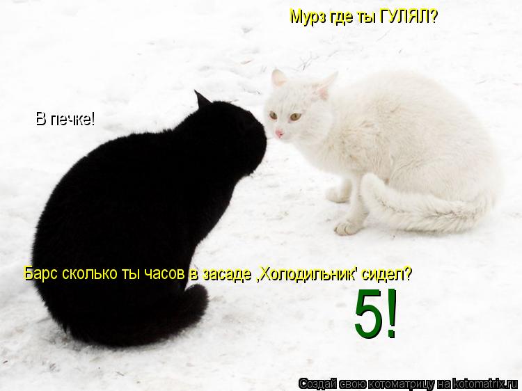 Мурз где ты ГУЛЯЛ? Барс сколько ты часов в засаде ,Холодильник' сидел? В печке! 5!... Котоматрица: Мурз где ты ГУЛЯЛ? Барс сколько ты часов в засаде ,Холодильник' сидел? В печке! 5!