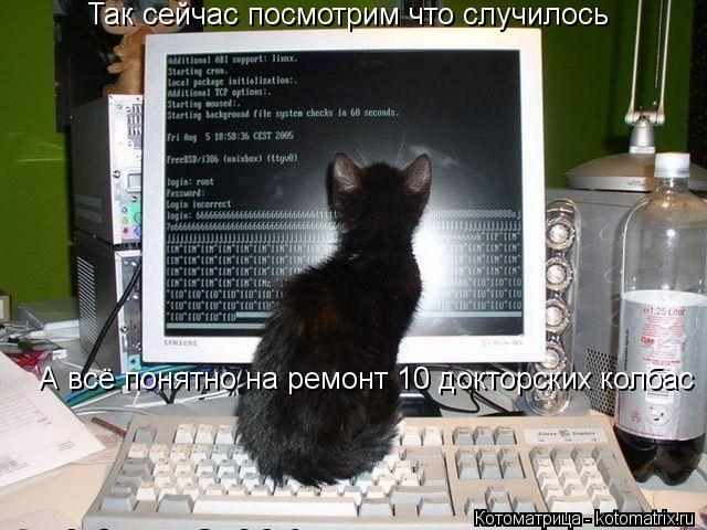 Так сейчас посмотрим что случилось А всё понятно на ремонт 10 докторских колбас... Котоматрица: Так сейчас посмотрим что случилось А всё понятно на ремонт 10 докторских колбас
