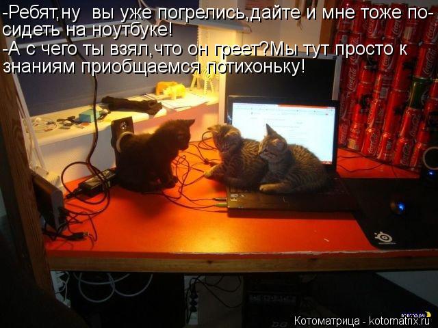 -Ребят,ну вы уже погрелись,дайте и мне тоже по- сидеть на ноутбуке! -А с чего ты взял,что он греет?М... Котоматрица: -Ребят,ну вы уже погрелись,дайте и мне тоже по- сидеть на ноутбуке! -А с чего ты взял,что он греет?Мы тут просто к знаниям приобщаемся потихон
