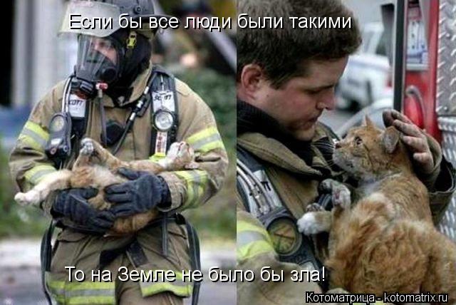 То на Земле не было бы зла! Если бы все люди были такими... Котоматрица: То на Земле не было бы зла! Если бы все люди были такими