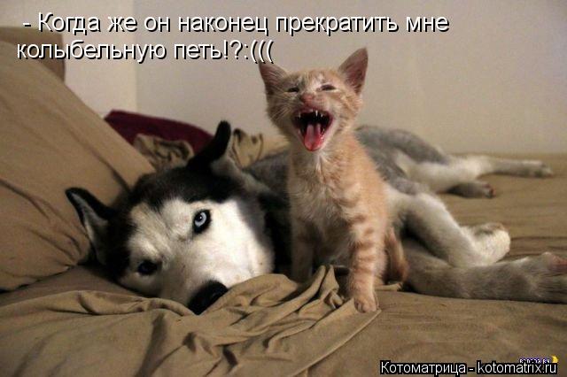 - Когда же он наконец прекратить мне колыбельную петь!?:(((... Котоматрица: - Когда же он наконец прекратить мне колыбельную петь!?:(((