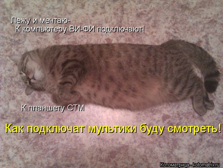 Лежу и мечтаю- К компьютеру ВИ-ФИ подключают! К планшету СТМ Как подключат мультики буду смотреть!... Котоматрица: Лежу и мечтаю- К компьютеру ВИ-ФИ подключают! К планшету СТМ Как подключат мультики буду смотреть!