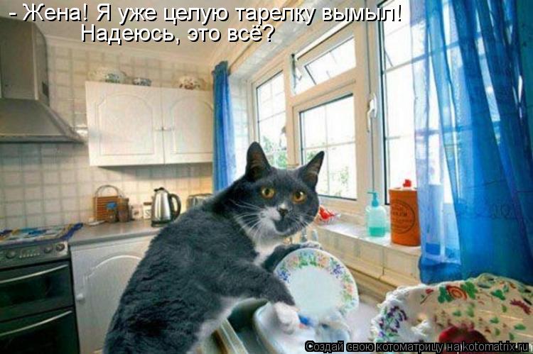 - Жена! Я уже целую тарелку вымыл! Надеюсь, это всё?... Котоматрица: - Жена! Я уже целую тарелку вымыл! Надеюсь, это всё?