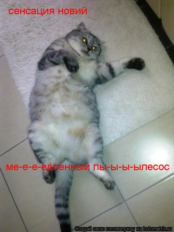 Котоматрица: сенсация новий ме-е-е-едленный пы-ы-ы-ылесос