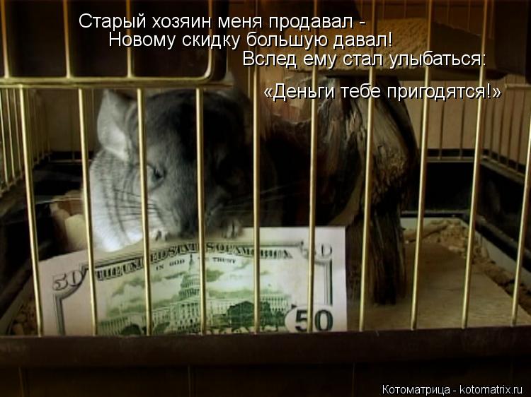 Старый хозяин меня продавал - Новому скидку большую давал! Вслед ему стал улыбаться: «Деньги тебе пр... Котоматрица: Старый хозяин меня продавал - Новому скидку большую давал! Вслед ему стал улыбаться: «Деньги тебе пригодятся!»