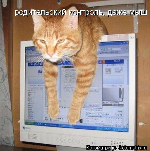 родительский контроль, даже мыш не проскочит... Котоматрица: родительский контроль, даже мыш не проскочит