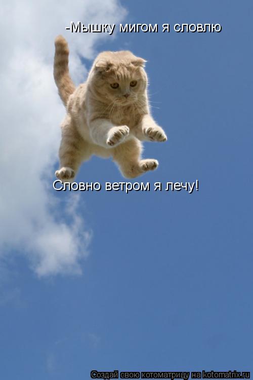 -Мышку мигом я словлю Словно ветром я лечу!... Котоматрица: -Мышку мигом я словлю Словно ветром я лечу!