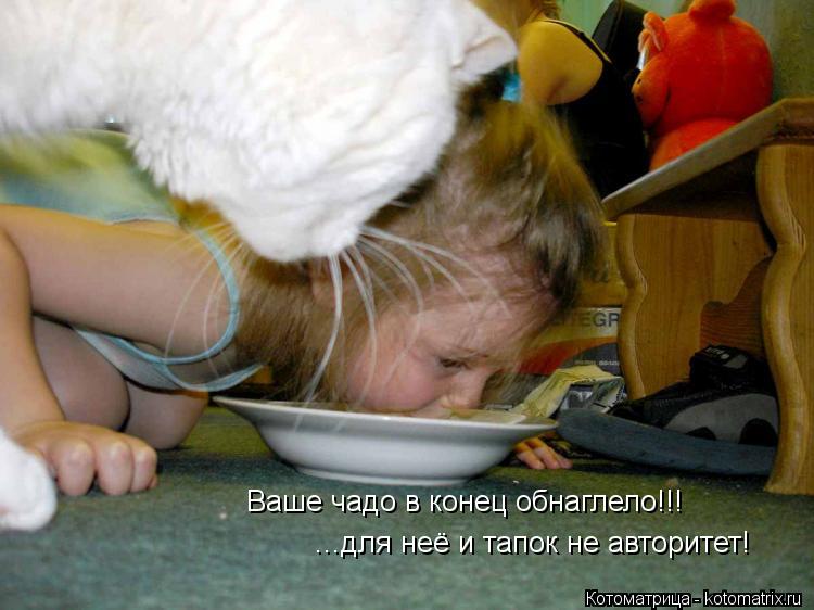 Ваше чадо в конец обнаглело!!! ...для неё и тапок не авторитет!... Котоматрица: Ваше чадо в конец обнаглело!!! ...для неё и тапок не авторитет!