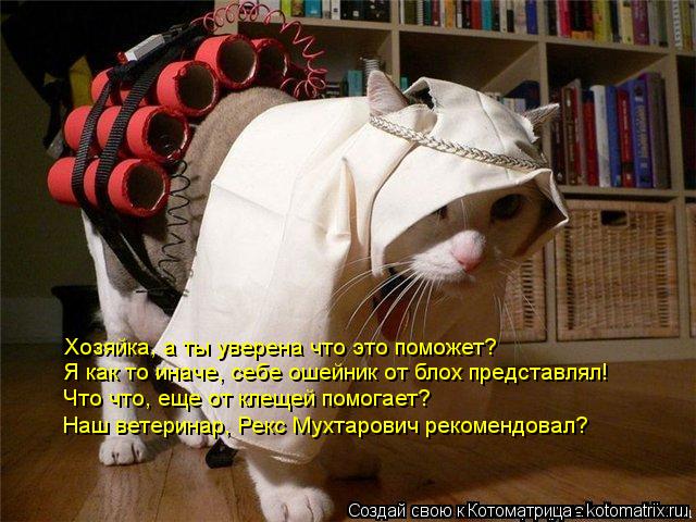 Хозяйка, а ты уверена что это поможет? Я как то иначе, себе ошейник от блох представлял! Что что, еще... Котоматрица: Хозяйка, а ты уверена что это поможет? Я как то иначе, себе ошейник от блох представлял! Что что, еще от клещей помогает? Наш ветеринар, Рекс М