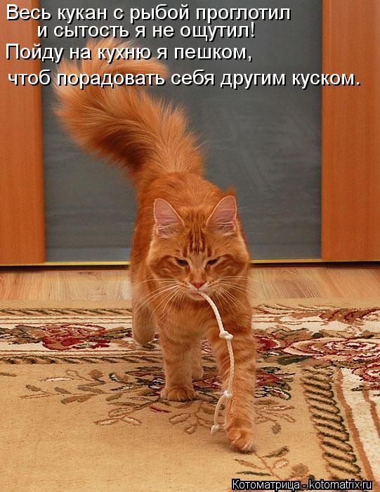 Весь кукан с рыбой проглотил и сытость я не ощутил! Пойду на кухню я пешком, чтоб порадовать себя дру... Котоматрица: Весь кукан с рыбой проглотил и сытость я не ощутил! Пойду на кухню я пешком, чтоб порадовать себя другим куском.