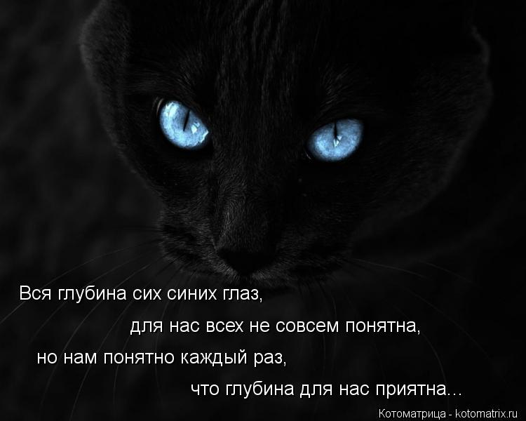Вся глубина сих синих глаз, Вся глубина сих синих глаз, для нас всех не совсем понятна, но нам пон... Котоматрица: Вся глубина сих синих глаз, Вся глубина сих синих глаз, для нас всех не совсем понятна, но нам понятно каждый раз, что глубина для нас прият