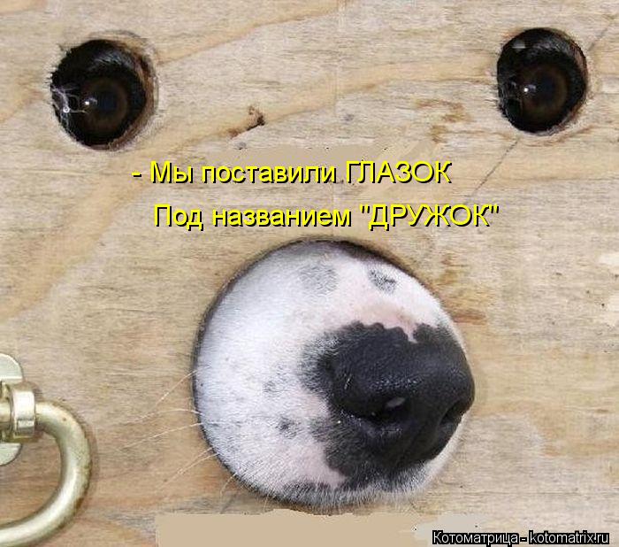 - Мы поставили ГЛАЗОК Под названием "ДРУЖОК"... Котоматрица: - Мы поставили ГЛАЗОК Под названием "ДРУЖОК"