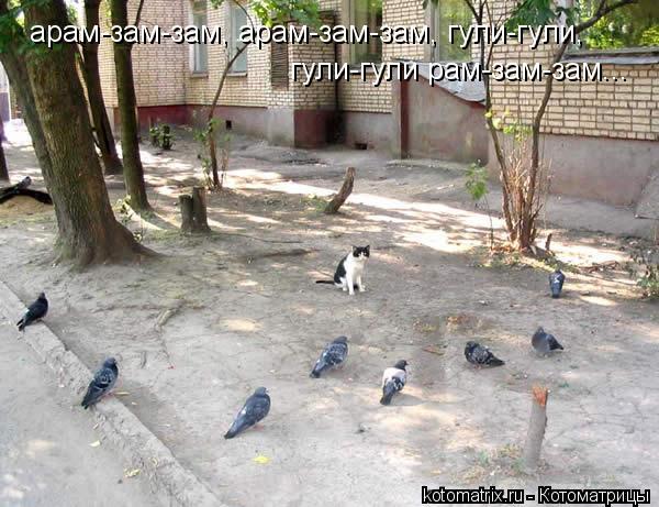 арам-зам-зам, арам-зам-зам, гули-гули, гули-гули рам-зам-зам...... Котоматрица: арам-зам-зам, арам-зам-зам, гули-гули, гули-гули рам-зам-зам...
