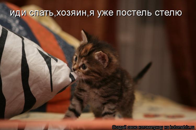 иди спать,хозяин,я уже постель стелю... Котоматрица: иди спать,хозяин,я уже постель стелю