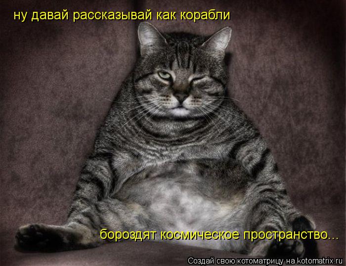 Котоматрица: ну давай рассказывай как корабли  бороздят космическое пространство...