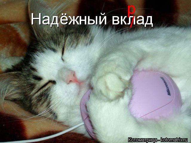 Надёжный вклад / р... Котоматрица: Надёжный вклад / р