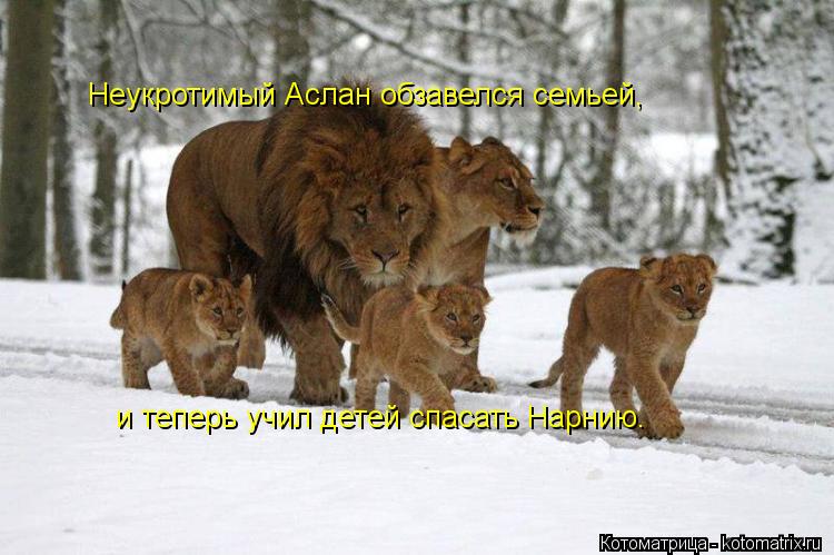 Котоматрица: Неукротимый Аслан обзавелся семьей, и теперь учил детей спасать Нарнию.