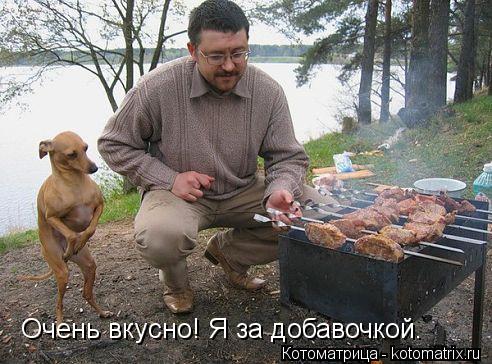 Очень вкусно! Я за добавочкой.... Котоматрица: Очень вкусно! Я за добавочкой.