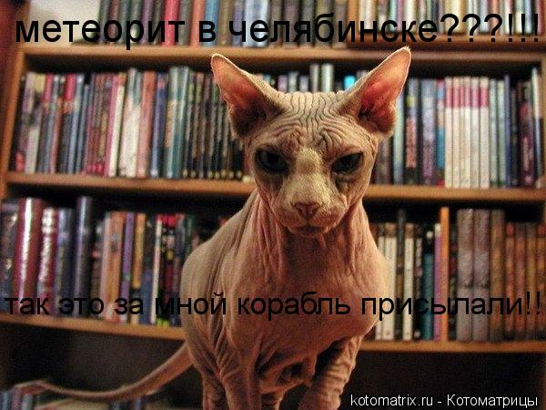 метеорит в челябинске???!!! так это за мной корабль присылали!!!... Котоматрица: метеорит в челябинске???!!! так это за мной корабль присылали!!!
