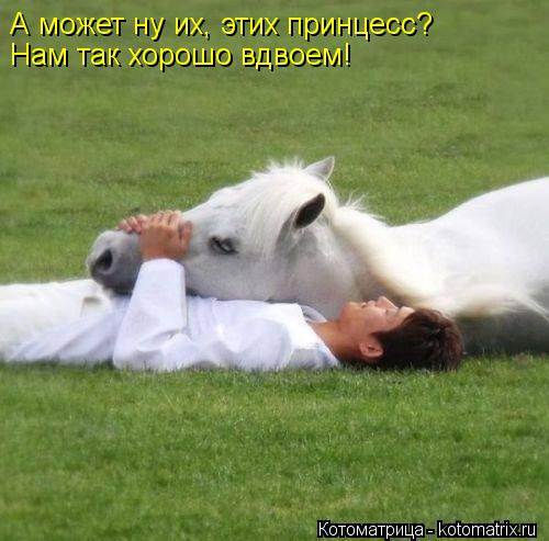 А может ну их, этих принцесс? Нам так хорошо вдвоем!... Котоматрица: А может ну их, этих принцесс? Нам так хорошо вдвоем!