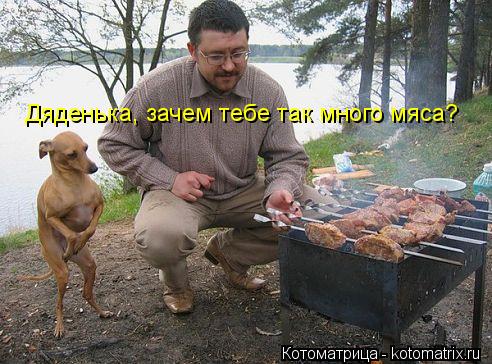 Котоматрица: Дяденька, зачем тебе так много мяса?