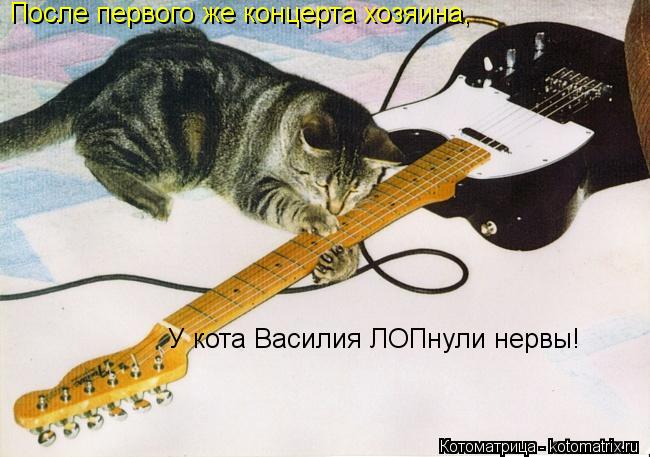 После первого же концерта хозяина, У кота Василия ЛОПнули нервы!... Котоматрица: После первого же концерта хозяина, У кота Василия ЛОПнули нервы!
