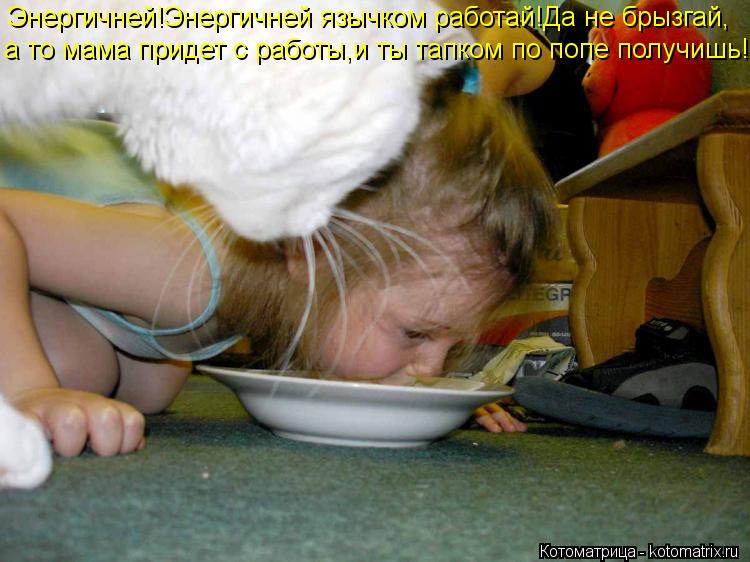 Энергичней!Энергичней язычком работай!Да не брызгай, а то мама придет с работы,и ты тапком по попе по... Котоматрица: Энергичней!Энергичней язычком работай!Да не брызгай, а то мама придет с работы,и ты тапком по попе получишь!