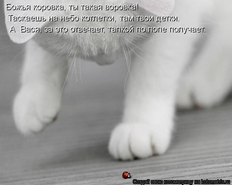 Божья коровка, ты такая воровка! Таскаешь на небо котлетки, там твои детки. А Вася, за это отвечает,... Котоматрица: Божья коровка, ты такая воровка! Таскаешь на небо котлетки, там твои детки. А Вася, за это отвечает, тапкой по попе получает.