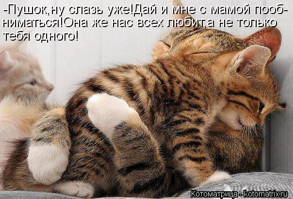-Пушок,ну слазь уже!Дай и мне с мамой пооб- ниматься!Она же нас всех любит,а не только тебя одного!... Котоматрица: -Пушок,ну слазь уже!Дай и мне с мамой пооб- ниматься!Она же нас всех любит,а не только тебя одного!