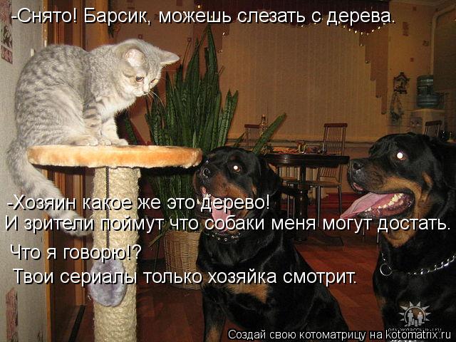 -Снято! Барсик, можешь слезать с дерева. -Хозяин какое же это дерево! И зрители поймут что собаки мен... Котоматрица: -Снято! Барсик, можешь слезать с дерева. -Хозяин какое же это дерево! И зрители поймут что собаки меня могут достать. Что я говорю!? Твои сериа