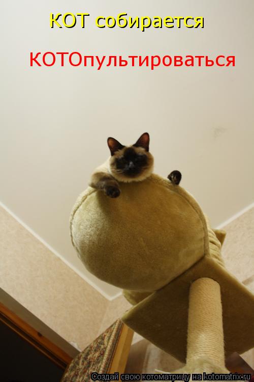 КОТ собирается КОТОпультироваться... Котоматрица: КОТ собирается КОТОпультироваться