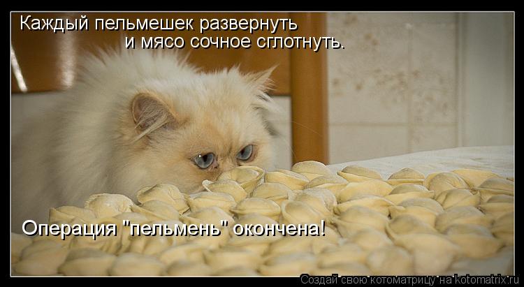 Каждый пельмешек развернуть и мясо сочное сглотнуть. Операция "пельмень" окончена!... Котоматрица: Каждый пельмешек развернуть и мясо сочное сглотнуть. Операция "пельмень" окончена!