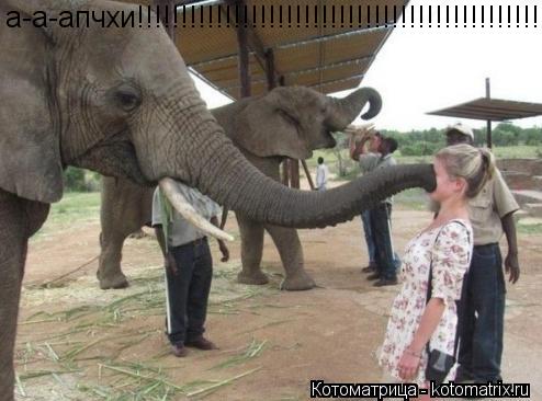 а-а-апчхи!!!!!!!!!!!!!!!!!!!!!!!!!!!!!!!!!!!!!!!!!!!!!!!!... Котоматрица: а-а-апчхи!!!!!!!!!!!!!!!!!!!!!!!!!!!!!!!!!!!!!!!!!!!!!!!!