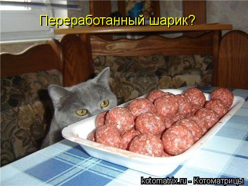 Переработанный шарик?... Котоматрица: Переработанный шарик?