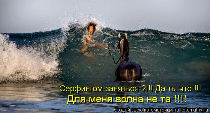 - Серфингом заняться ?!!! Да ты что !!! Для меня волна не та !!!!... Котоматрица: - Серфингом заняться ?!!! Да ты что !!! Для меня волна не та !!!!