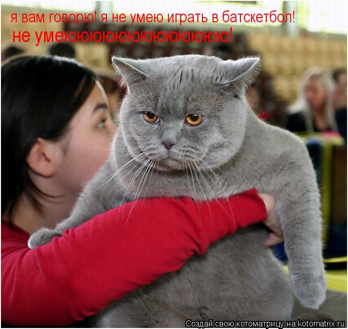 я вам говорю! я не умею играть в батскетбол! не умеююююююююююююю!... Котоматрица: я вам говорю! я не умею играть в батскетбол! не умеююююююююююююю!