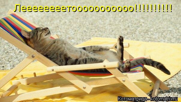 Леееееееетооооооооооо!!!!!!!!!!... Котоматрица: Леееееееетооооооооооо!!!!!!!!!!
