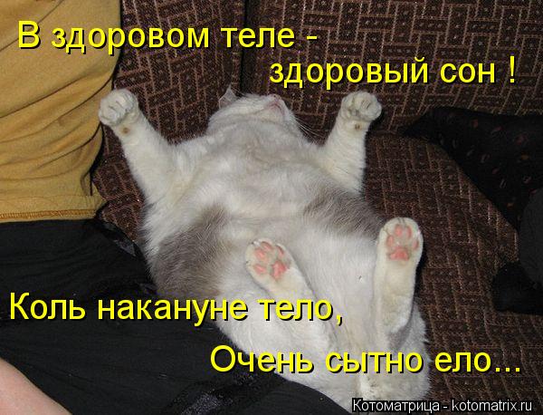 В здоровом теле - здоровый сон ! Коль накануне тело, Очень сытно ело...... Котоматрица: В здоровом теле - здоровый сон ! Коль накануне тело, Очень сытно ело...