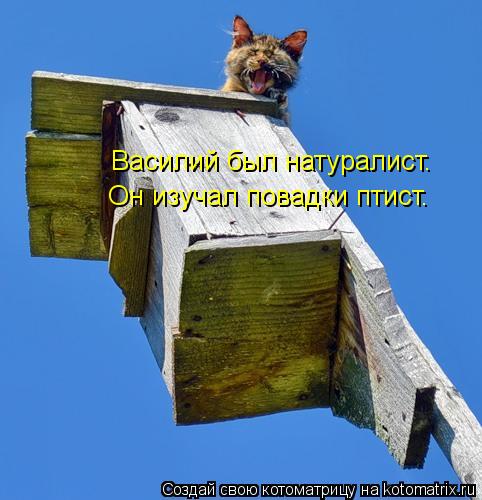 Василий был натуралист. Он изучал повадки птист.... Котоматрица: Василий был натуралист. Он изучал повадки птист.