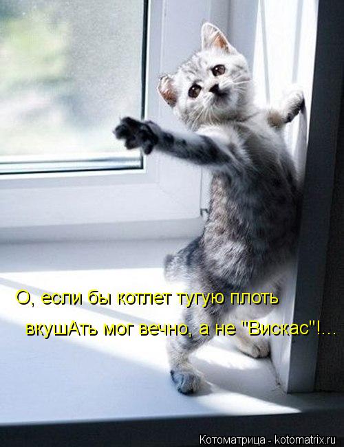 О, если бы котлет тугую плоть вкушАть мог вечно, а не "Вискас"!...... Котоматрица: О, если бы котлет тугую плоть вкушАть мог вечно, а не "Вискас"!...