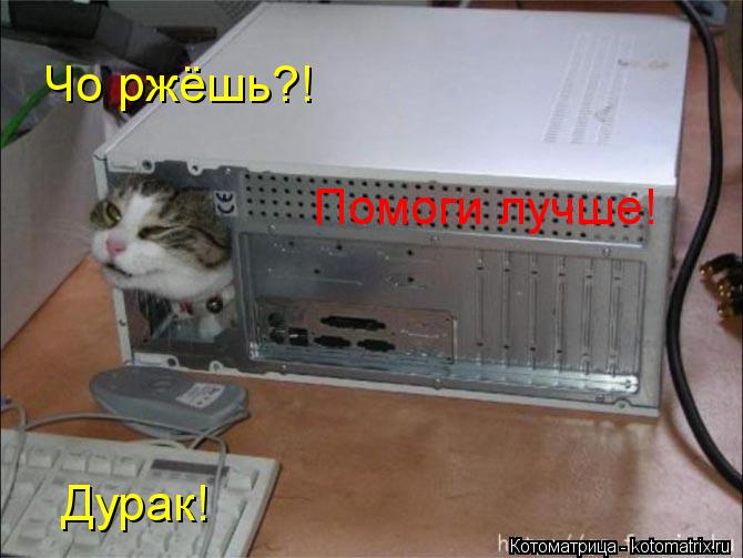 Чо ржёшь?! Помоги лучше! Дурак!... Котоматрица: Чо ржёшь?! Помоги лучше! Дурак!