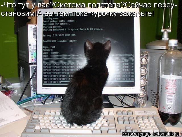 Котоматрица: -Что тут у вас?Система полетела?Сейчас переу- становим!А вы там пока курочку зажарьте!