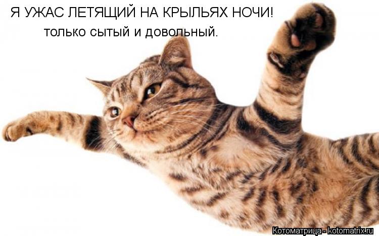 Я УЖАС ЛЕТЯЩИЙ НА КРЫЛЬЯХ НОЧИ! только сытый и довольный.... Котоматрица: Я УЖАС ЛЕТЯЩИЙ НА КРЫЛЬЯХ НОЧИ! только сытый и довольный.