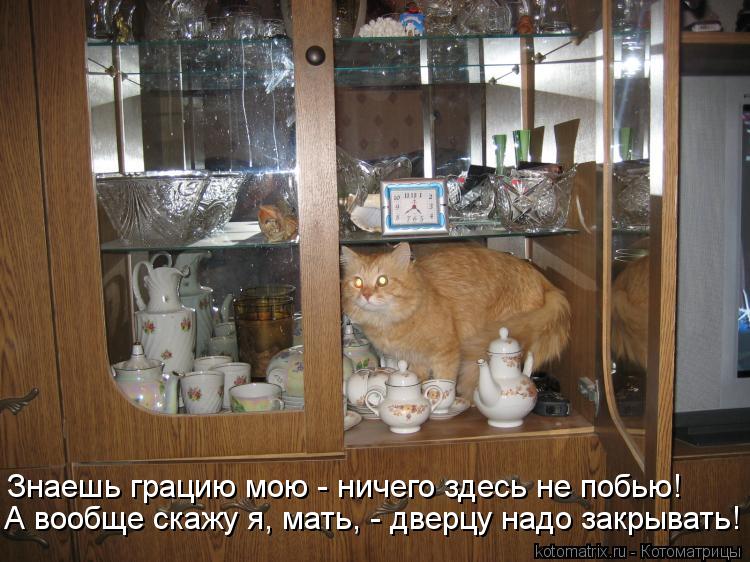 Котоматрица: А вообще скажу я, мать, - дверцу надо закрывать! Знаешь грацию мою - ничего здесь не побью!