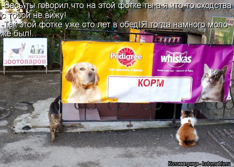 -Вась,ты говорил,что на этой фотке ты,а я что-то сходства с тобой не вижу! -Так этой фотке уже сто ле... Котоматрица: -Вась,ты говорил,что на этой фотке ты,а я что-то сходства с тобой не вижу! -Так этой фотке уже сто лет в обед!Я тогда намного моло- же был!..