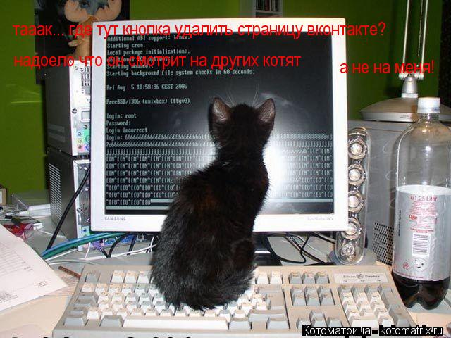 тааак... где тут кнопка удалить страницу вконтакте? надоело что он смотрит на других котят а не на ме... Котоматрица: тааак... где тут кнопка удалить страницу вконтакте? надоело что он смотрит на других котят а не на меня!