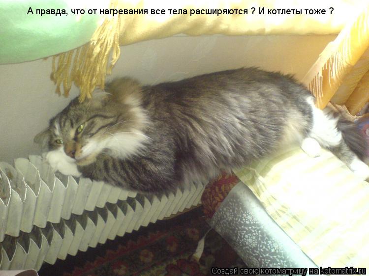 А правда, что от нагревания все тела расширяются ? И котлеты тоже ?... Котоматрица: А правда, что от нагревания все тела расширяются ? И котлеты тоже ?
