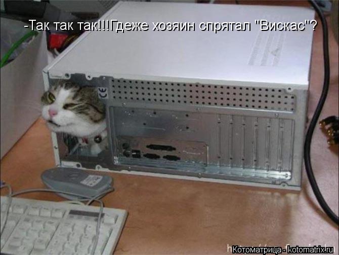 -Так так так!!!Гдеже хозяин спрятал "Вискас"?... Котоматрица: -Так так так!!!Гдеже хозяин спрятал "Вискас"?
