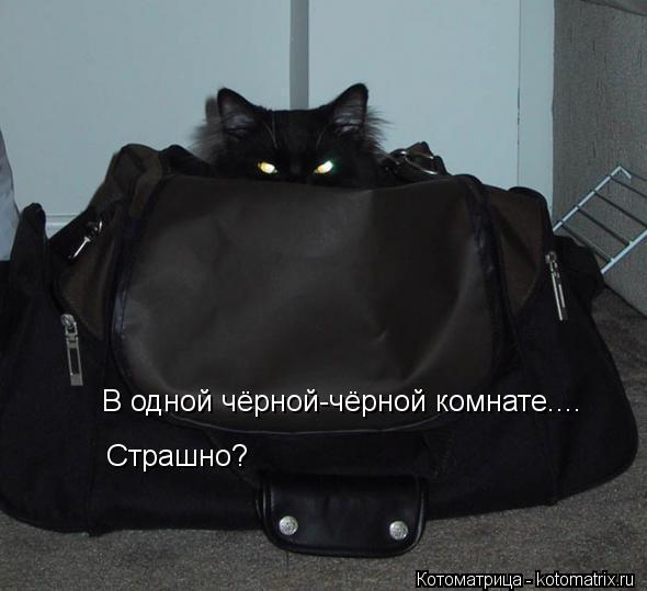 В одной чёрной-чёрной комнате.... Страшно?... Котоматрица: В одной чёрной-чёрной комнате.... Страшно?
